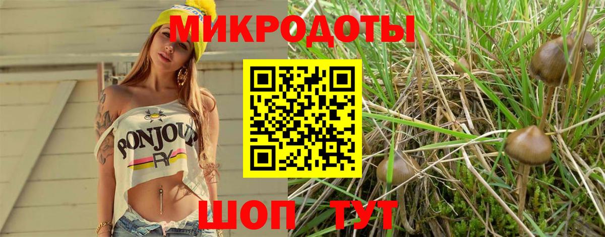 Псилоцибиновые грибы Magic Shrooms  Галлюциногенные грибы мицелий  Заречный  Вход с VPN 
