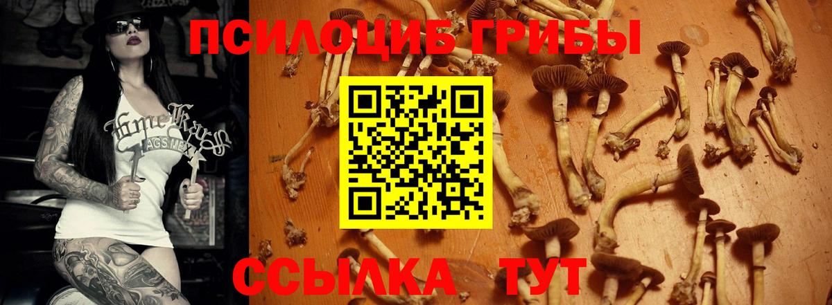 Галлюциногенные грибы Magic Shrooms Заречный